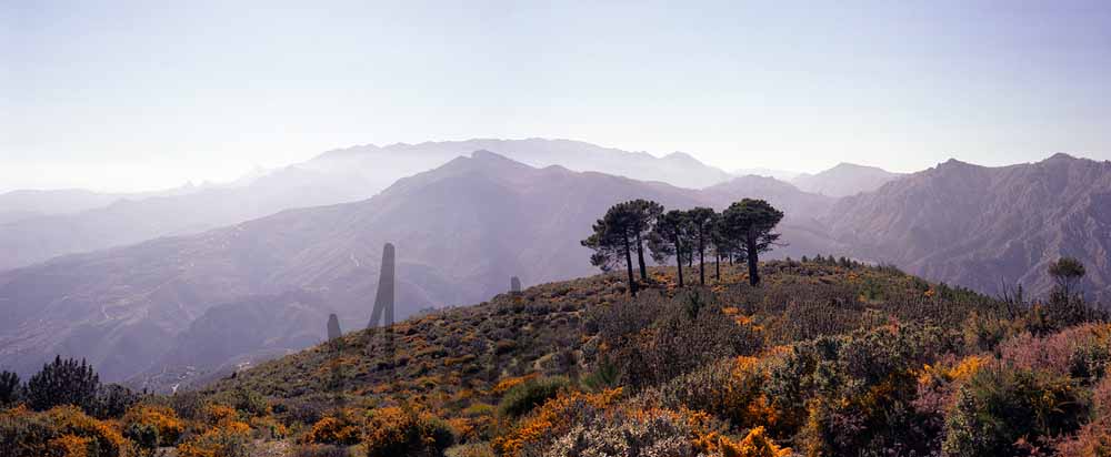 11 Sierras de Almija#10003