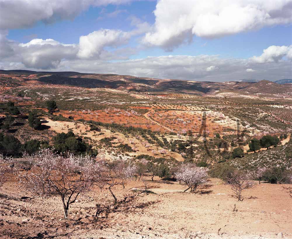 18 Valle de Lecrin