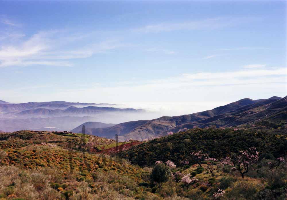 2 South of Turon, Almeria