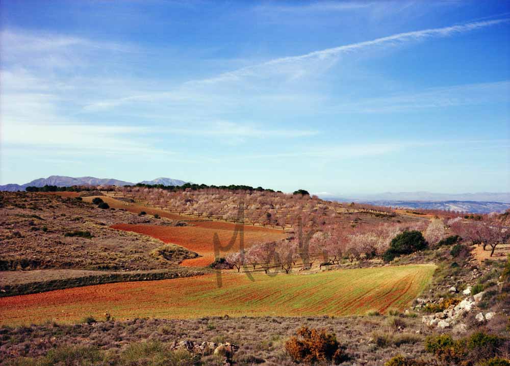 20 Carretera de la Cabra