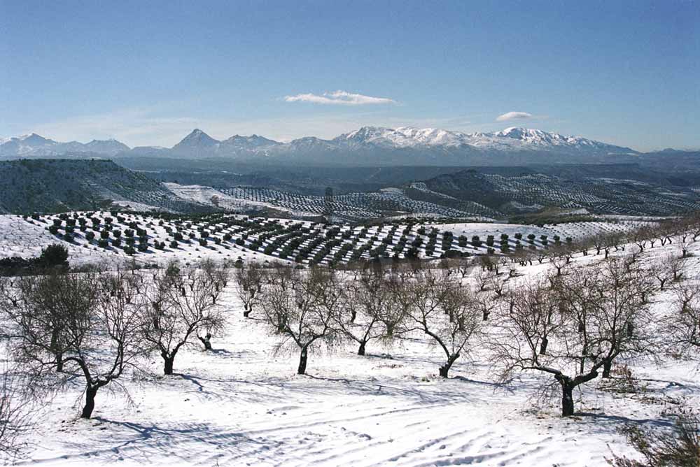 8 Sierra de Almijara