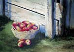 Basket of Apples